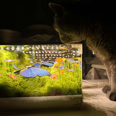 🦋 Spring Butterfly Cube LED Night Light DIY Craft Kit