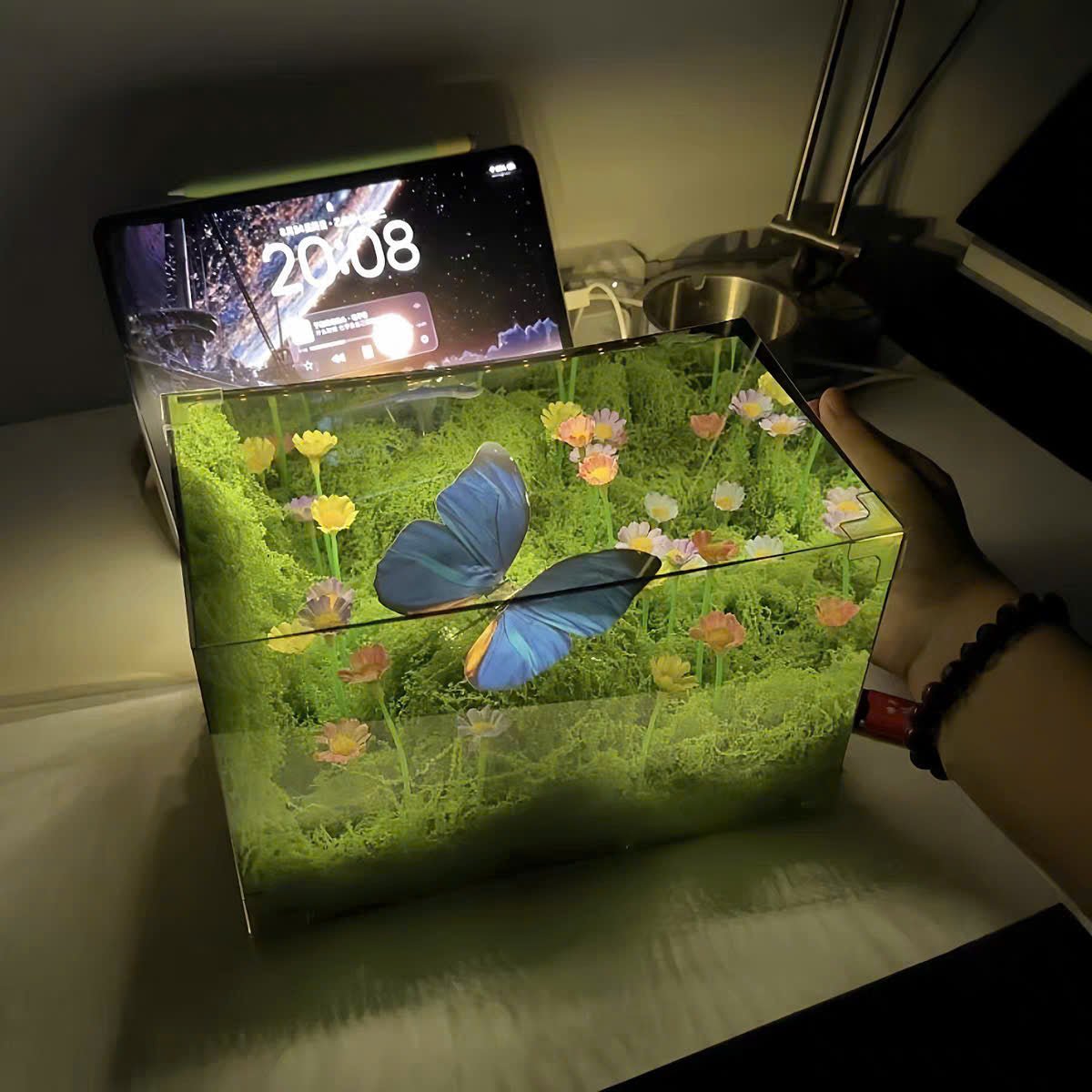 🦋 Spring Butterfly Cube LED Night Light DIY Craft Kit