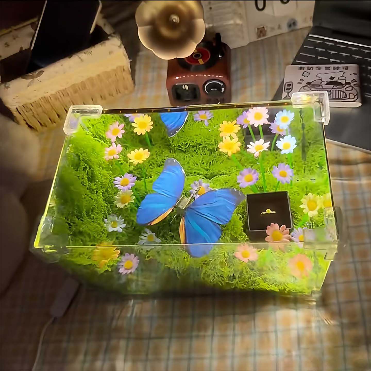 🦋 Spring Butterfly Cube LED Night Light DIY Craft Kit